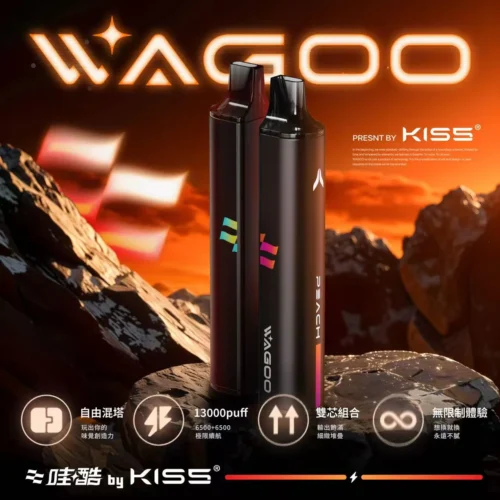哇酷 KIS5 拋棄式 6500口｜買十送一